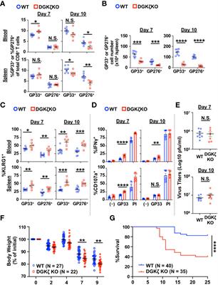 Manipulation of diacylglycerol and ERK-mediated signaling differentially controls CD8+ T cell responses during chronic viral infection